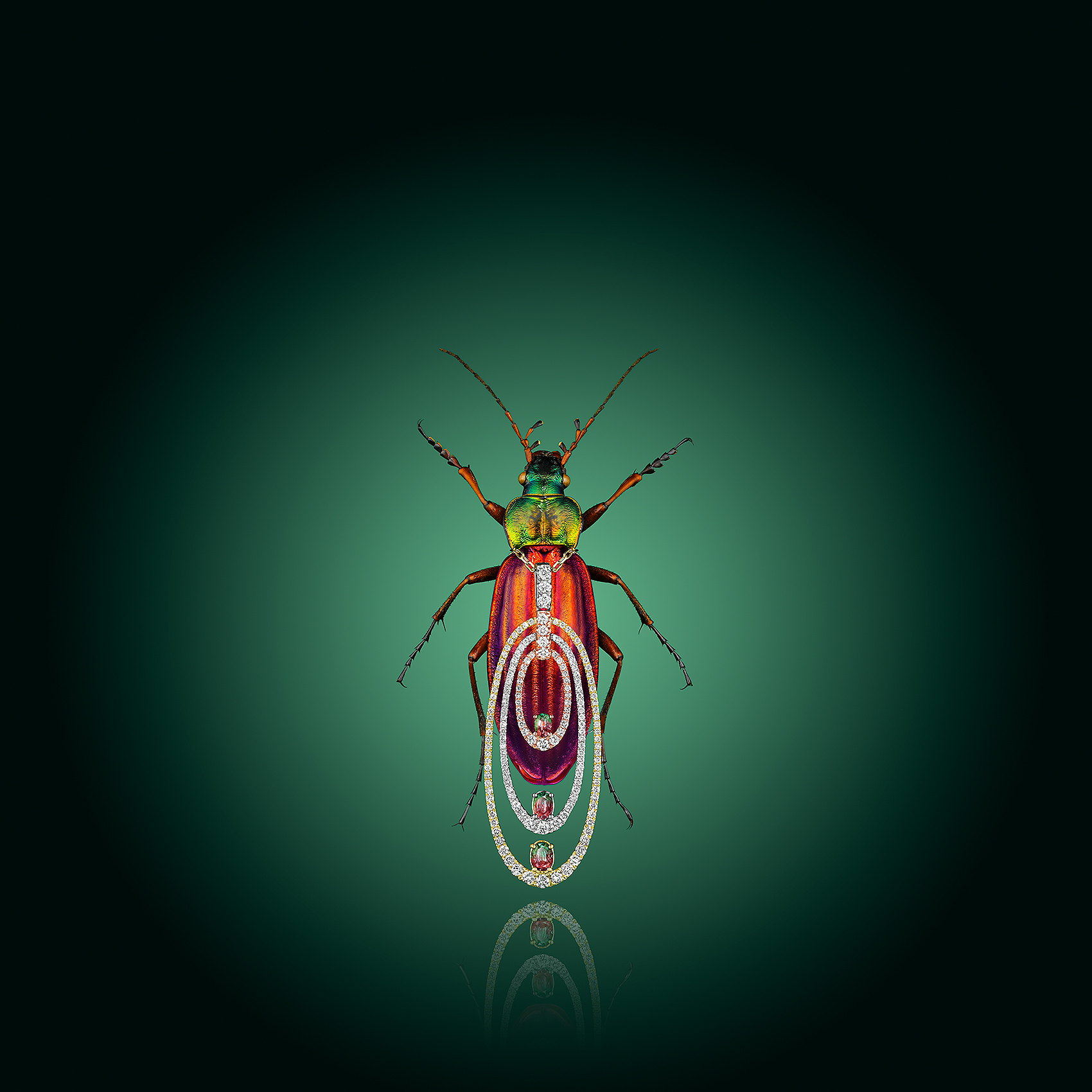 Beetle with Pendant