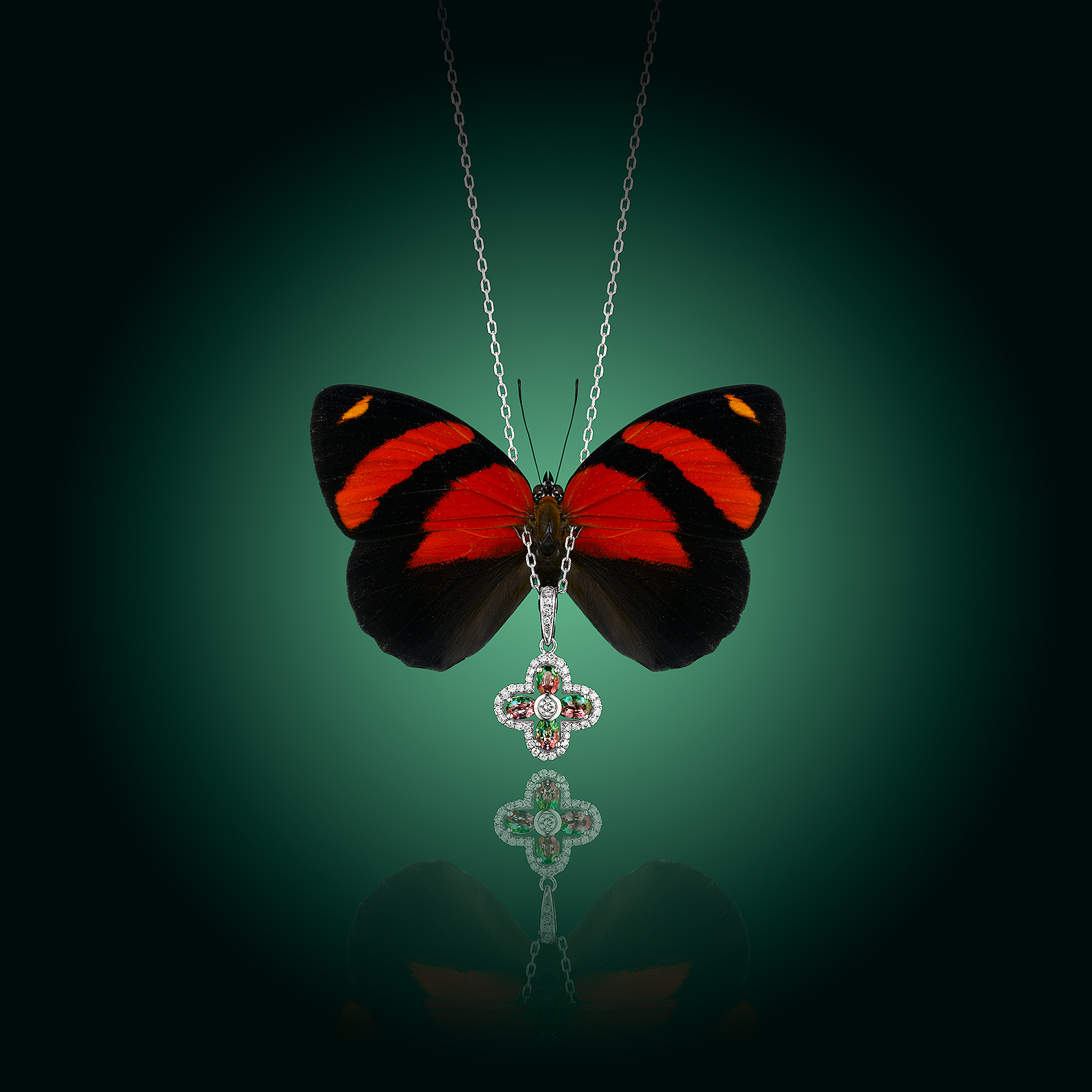Jewelry with Butterfly