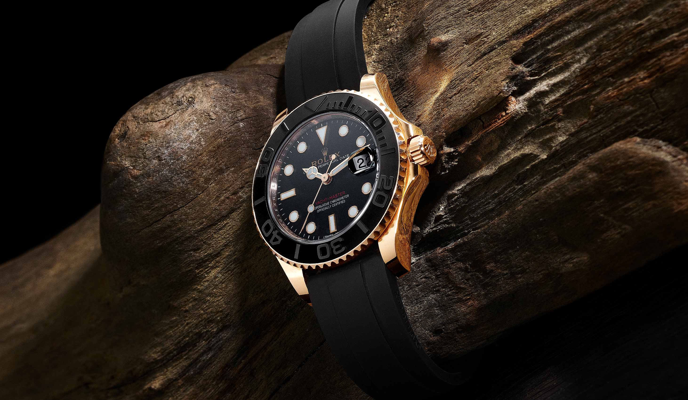 Rolex Watch on Driftwood