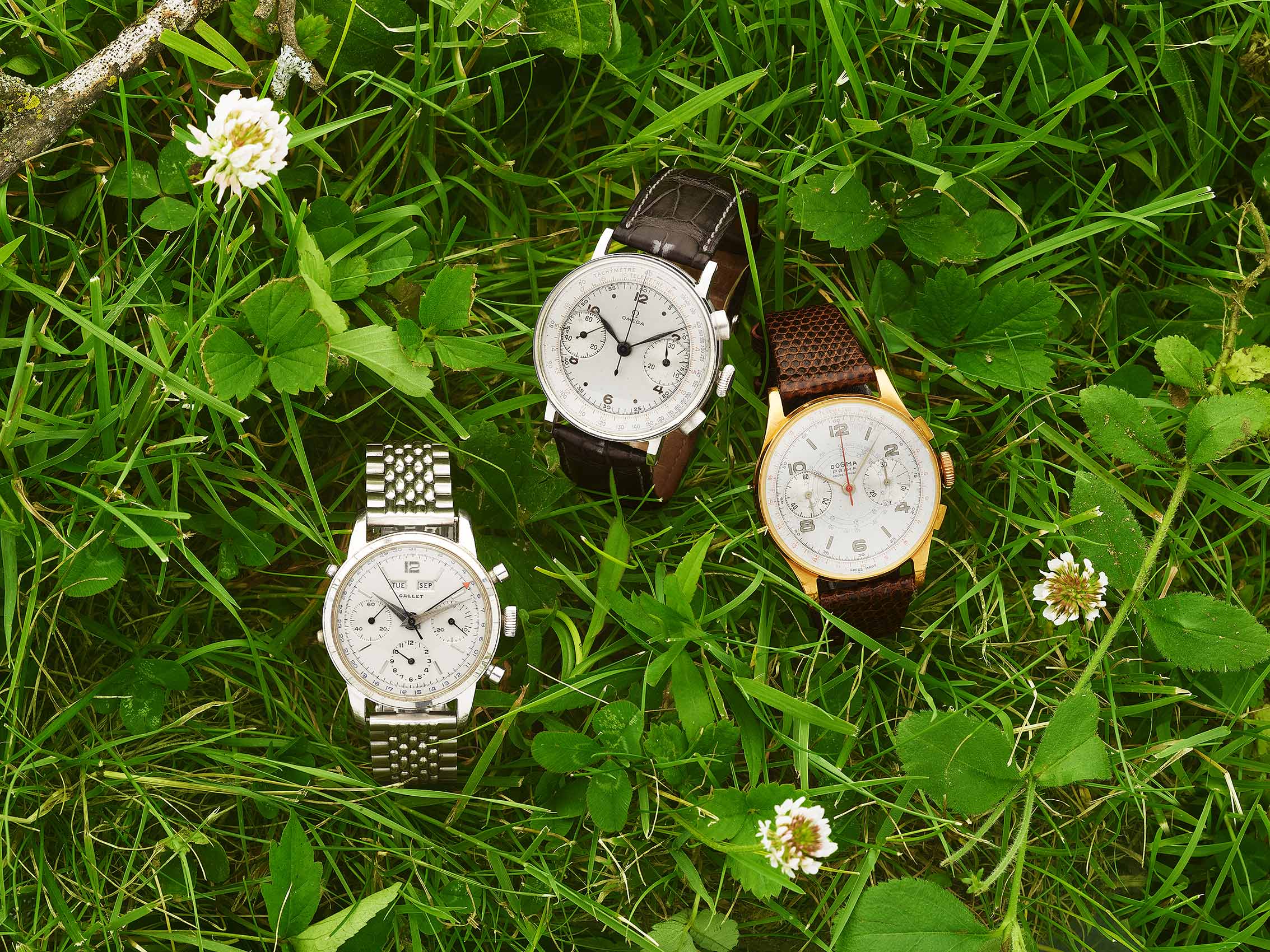 Three Watches in Field of Flowers