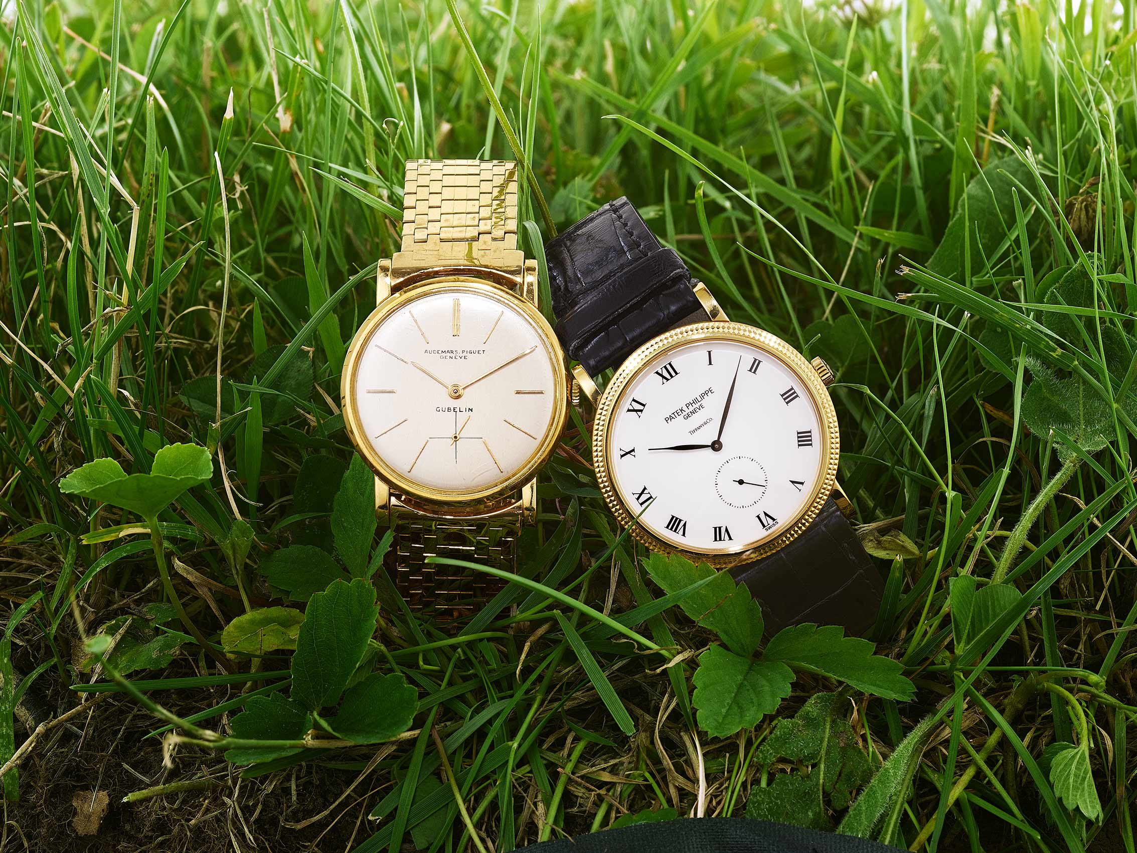 Two Watches in Tall Grass